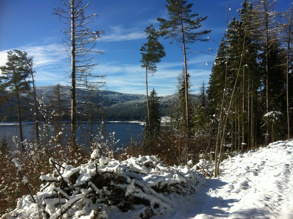 Campingplatz Schluchsee