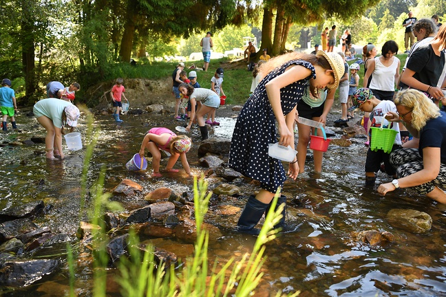 Camping Harfenmühle