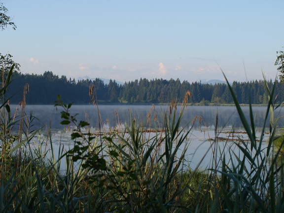 Campingplatz Elbsee