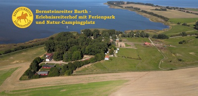 Bernsteinreiter - NaturCamp