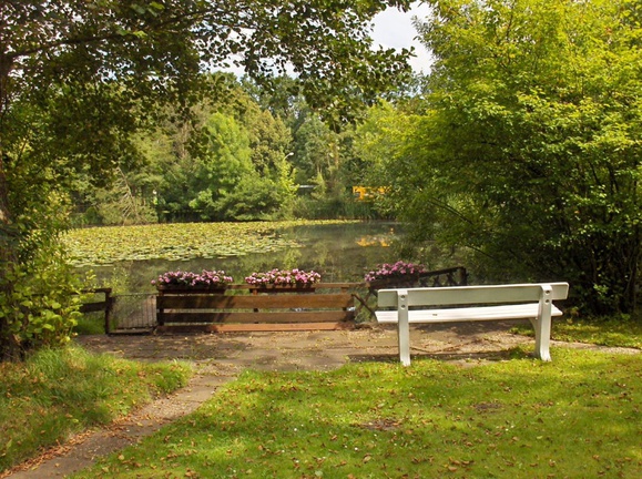 Campingplatz Alte Löweninsel