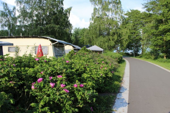 Campingplatz Mardorf