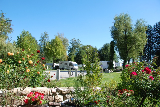 Busses Camping am Möslepark, Freiburg