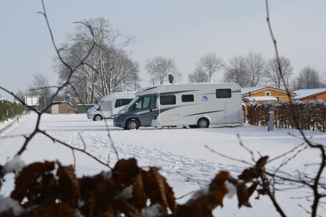 Camping- und Freizeitplatz "Brachter Wald"