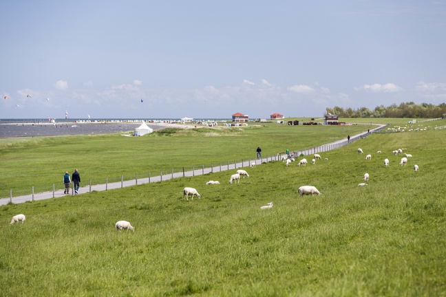 Nordsee-Campingplatz Hooksiel