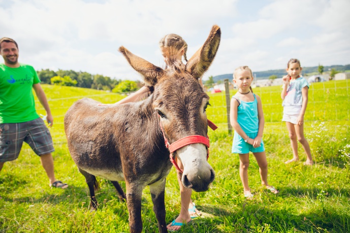Camping & Ferienpark Orsingen