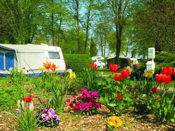 Komfortcamping Senftenberger See