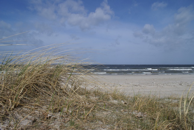 Campingplatz Schöning