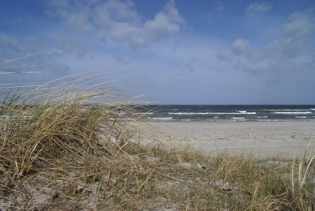 Campingplatz Schöning