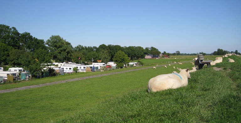 Elbdeich-Camping Kollmar