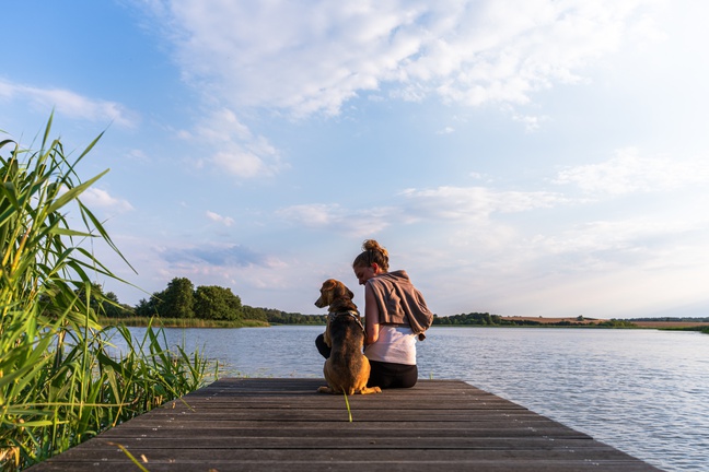 Seeweide | Naturcamping Penzlin