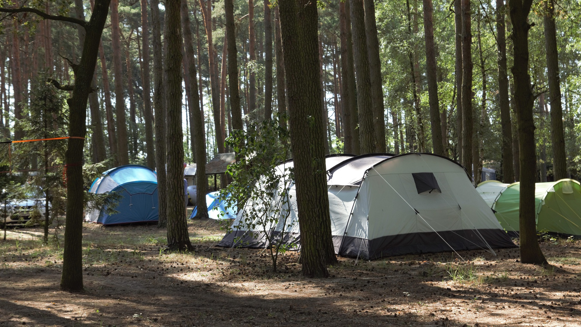 Wa-Ca-Wi     Waldbad-Campingplatz-Wischer